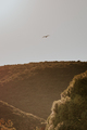 Seagull flying over a mountain at golden hour - PhotoDune Item for Sale
