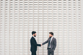 Young bearded professional businessman shaking hand with partner - PhotoDune Item for Sale