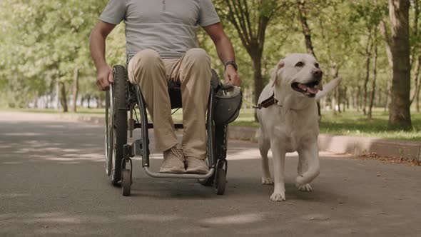 Man in Wheelchair with His Dog in Park