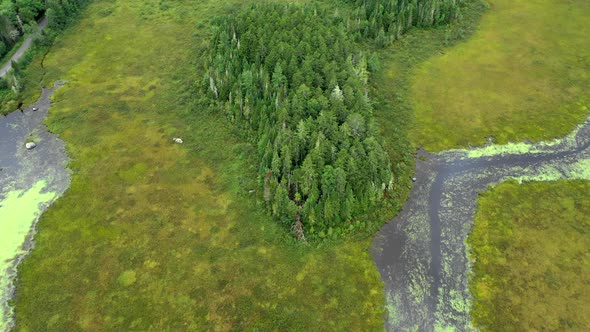 Aerial flying over the dark calm waters of Shirley Bog in the Maine countryside and tilting up to a