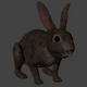 Realistic Rabbit Model - 3DOcean Item for Sale