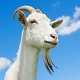 Goats