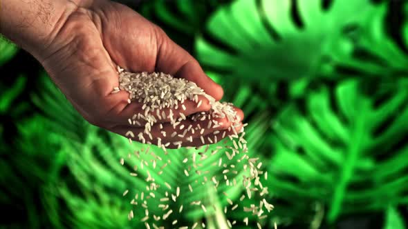 Uncooked Rice Falls From a Man's Hand