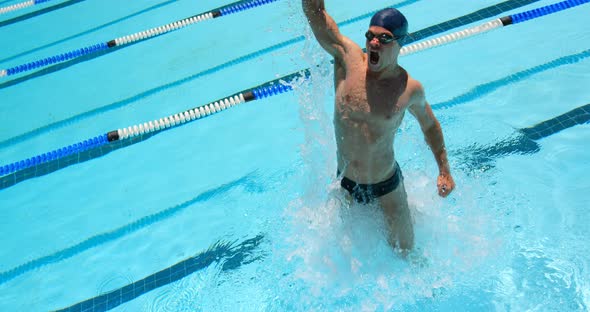 Male swimmer react after winning the race 4k