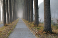 Morning park in the autumn - PhotoDune Item for Sale