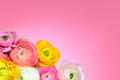 Background with bright beautiful flowers - PhotoDune Item for Sale