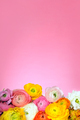 Background with bright beautiful flowers - PhotoDune Item for Sale