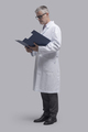 Doctor checking medical records in a file - PhotoDune Item for Sale