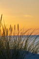 Sunset and Marram Grass  - PhotoDune Item for Sale