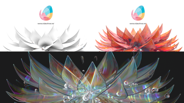 Flower bloom 3 Style  logo reveal