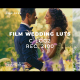 Luts Film Wedding C-Log2 - VideoHive Item for Sale