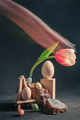 concept spring. freakebana. red-white tulip and Easter eggs. easter concept. - PhotoDune Item for Sale