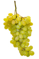 Bunch of ripe green grapes isolated on white background - PhotoDune Item for Sale