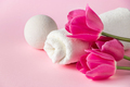 Spa skin care products on a pink background. Natural cosmetics and red tulips. - PhotoDune Item for Sale