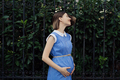 Portrait of happy pregnant woman touching her tummy - PhotoDune Item for Sale