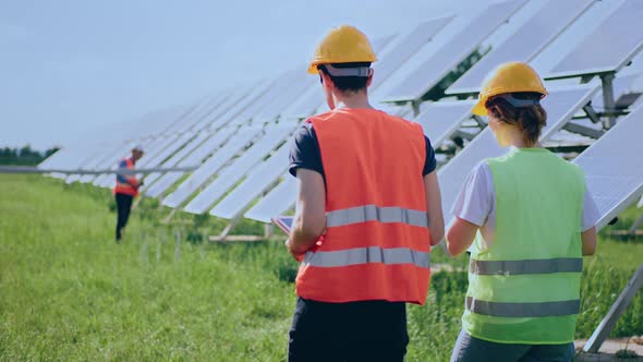 Charismatic Young Lady and Guy Technician Workers