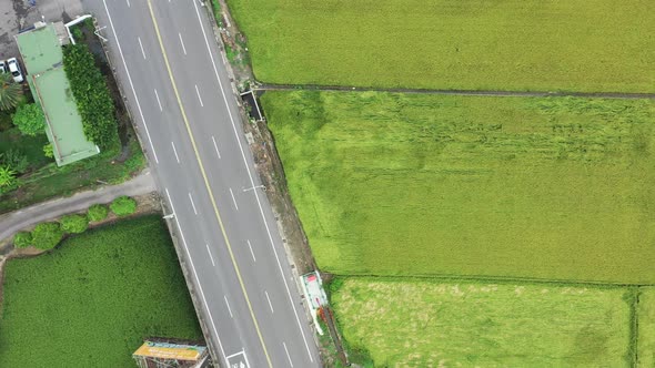 Bird Eye View of Aerial Drone Footage of Rice Paddy Field with Road and Traffics to show the contras