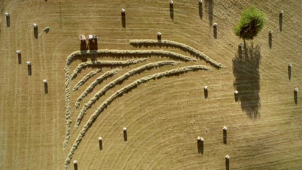 Abstract aerial view of tractor harvesting straw bales in field, France