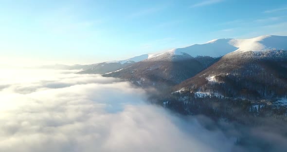 majestic sunrise in the mountains. Mountains covered with forest natural. Carpathian mountais