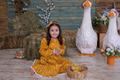 child and ducklings - PhotoDune Item for Sale