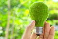Hand holding eco light bulb energy concept - PhotoDune Item for Sale