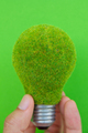 eco light bulb energy concept - PhotoDune Item for Sale