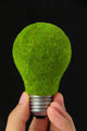 eco light bulb energy concept - PhotoDune Item for Sale