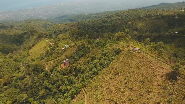 Mountain Landscape with Valley and Village Bali, Indonesia