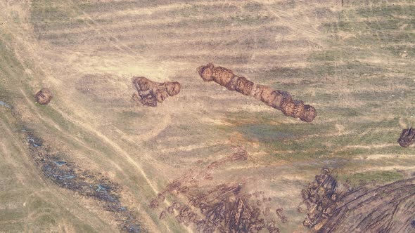 Circling Over Scattered Piles of Manure in a Farm Field