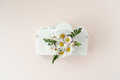 camera lens  Photo camera with flowers  - PhotoDune Item for Sale