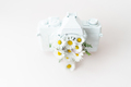 White colored camera lens photo camera with flowers - PhotoDune Item for Sale
