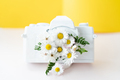 White colored camera lens photo camera with flowers - PhotoDune Item for Sale