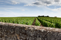 Landscape of a French village near Bordeaux - PhotoDune Item for Sale