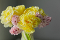 Beautiful spring flower arrangement of yellow peony tulips and pink hyacinth in the glass vase. - PhotoDune Item for Sale