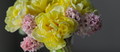 Beautiful yellow peony tulips and pink hyacinth flower bouquet on white dresser. - PhotoDune Item for Sale