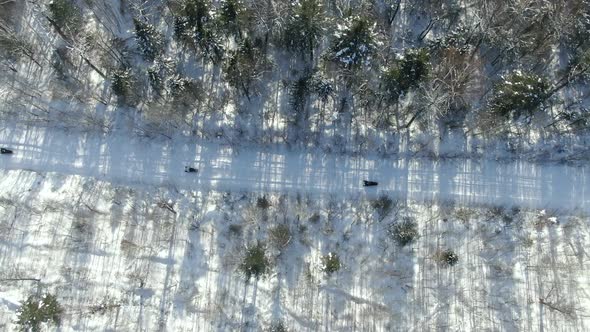 a Group of Snowmobilers and a Snow Bike Moto