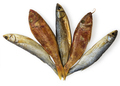 Dried fishes - Mullus and  Mugil - on the table. Salty dry  fish on a white background - PhotoDune Item for Sale