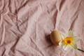 Natural egg and blooming daffodil flower on pink fabric background. Happy Easter - PhotoDune Item for Sale