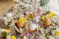 Happy Easter! Rustic easter still life. Stylish easter eggs and blooming spring flowers - PhotoDune Item for Sale