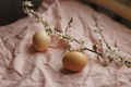 Natural eggs and blooming cherry branch on pink fabric background. Happy Easter - PhotoDune Item for Sale