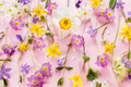 Colorful spring flowers on pink background - PhotoDune Item for Sale