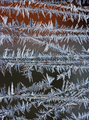 Ice crystals forming on a window in winter - PhotoDune Item for Sale