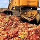 Bulldozer Aligns Soil At The Dump - VideoHive Item for Sale