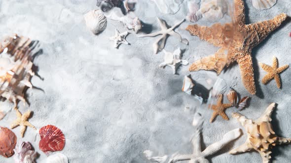 Super Slow Motion Shot of Sea Water Surface Waving Over Starfish Shells and White Sand at 1000Fps alt