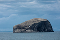 Views of Bass Rock, lighthouse, North Sea and colony of gannets. North Berwick. Scotland - PhotoDune Item for Sale