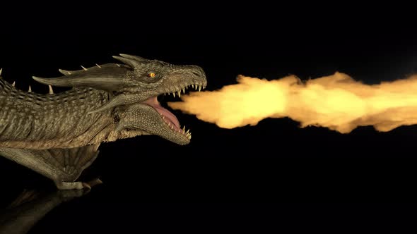 Realistic Dragon Breathes Fire on a Black Background on alt