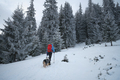 Man hiking with dog in beautiful winter forest in mountain - PhotoDune Item for Sale