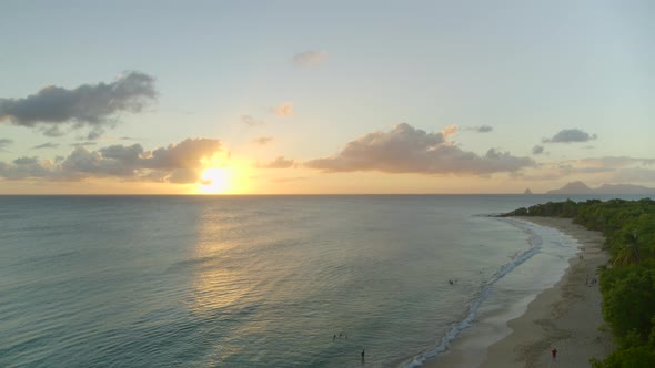 Aerial of beautiful coastline and forest at sunset