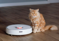 Robotic vacuum cleaner on the floor with a surprised ginger cat - PhotoDune Item for Sale