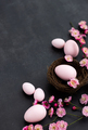 Stylish background with colorful easter eggs with blooming branches of sakura flowers - PhotoDune Item for Sale